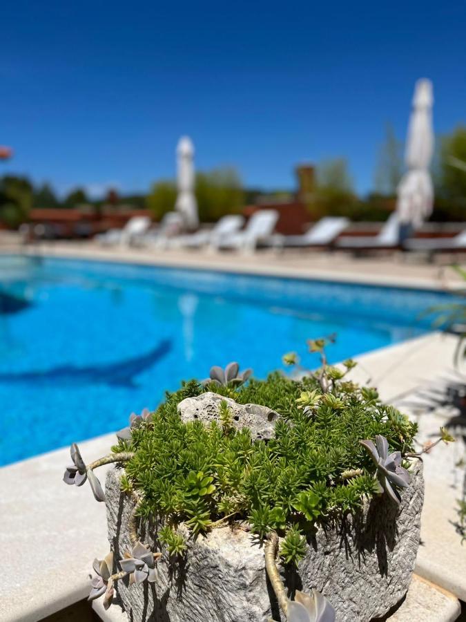 젤사 Gorana Apartman With Swimming Pool 아파트 외부 사진